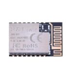 BW16 WITH PCB ANTENNA-2MB